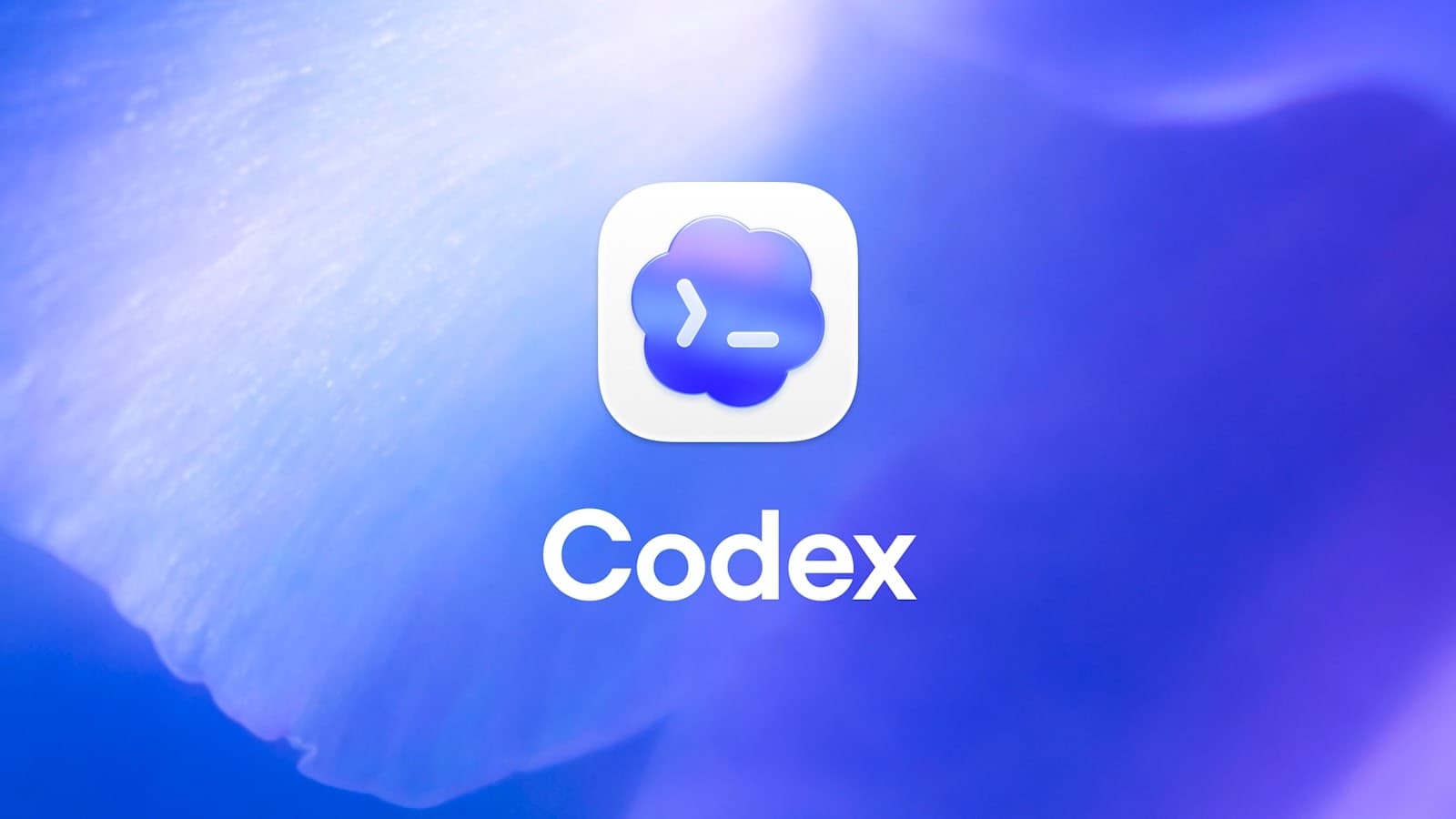 Codex